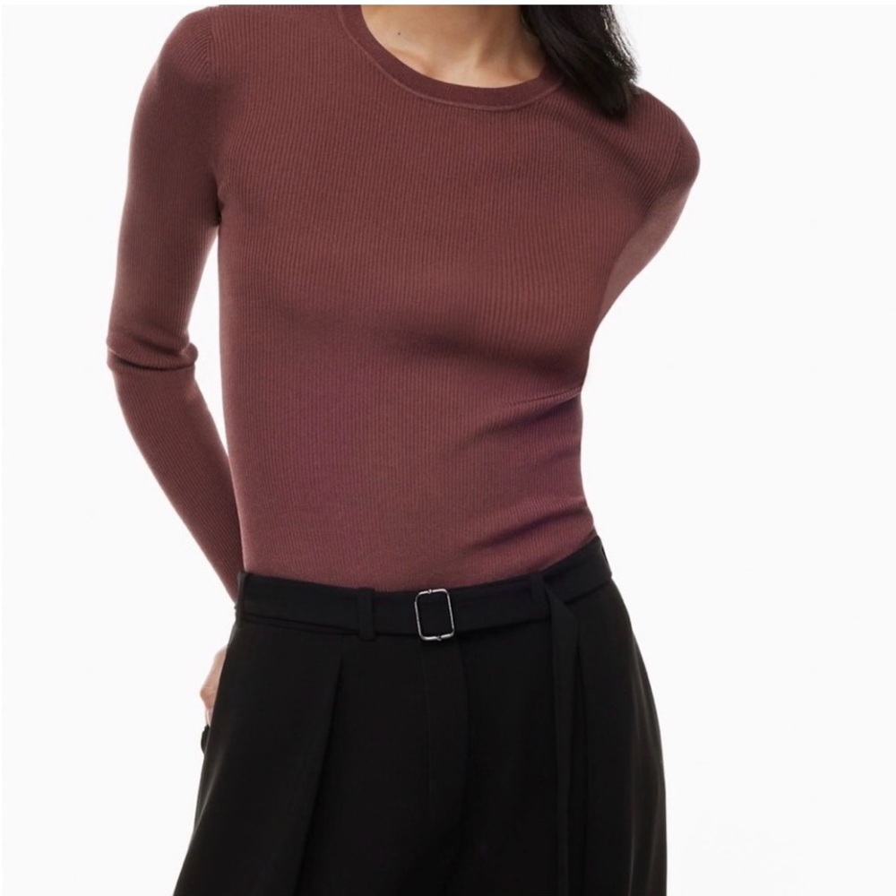Aritzia Mauve Long Sleeve Top